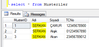 SQL-Update-<br />
Sonucu