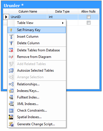 veritabanı primary key