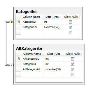 SQL veritabanı