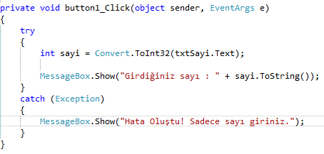 C# hata yakalama