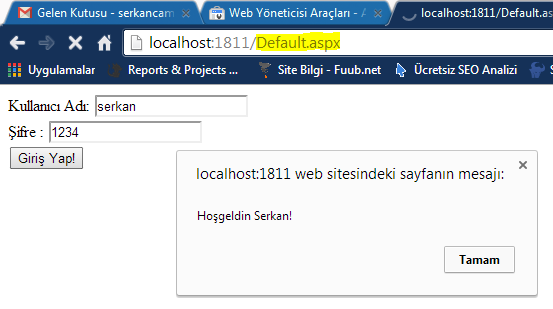 aspnet-user-control-çalıştırma