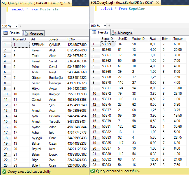 sql-select-sorgusu