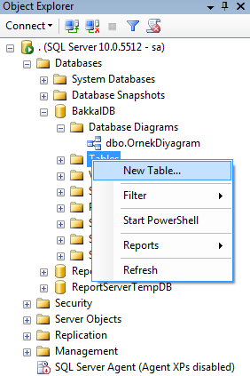 SQL Yeni Tablo