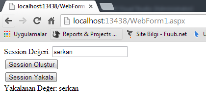 aspnet-session-veri-alma