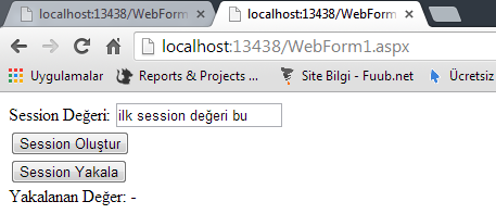 aspnet-session-ulaşma