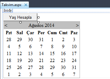 aspnet-takvim