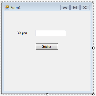 vbnet windows form