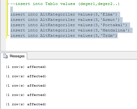 SQL-insert-sorgu